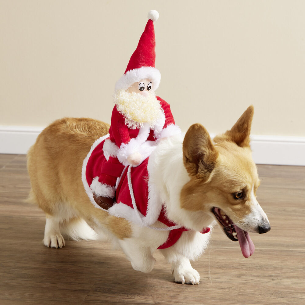 Déguisement chien Père Noël à califourchon rouge et blanc - Taille S